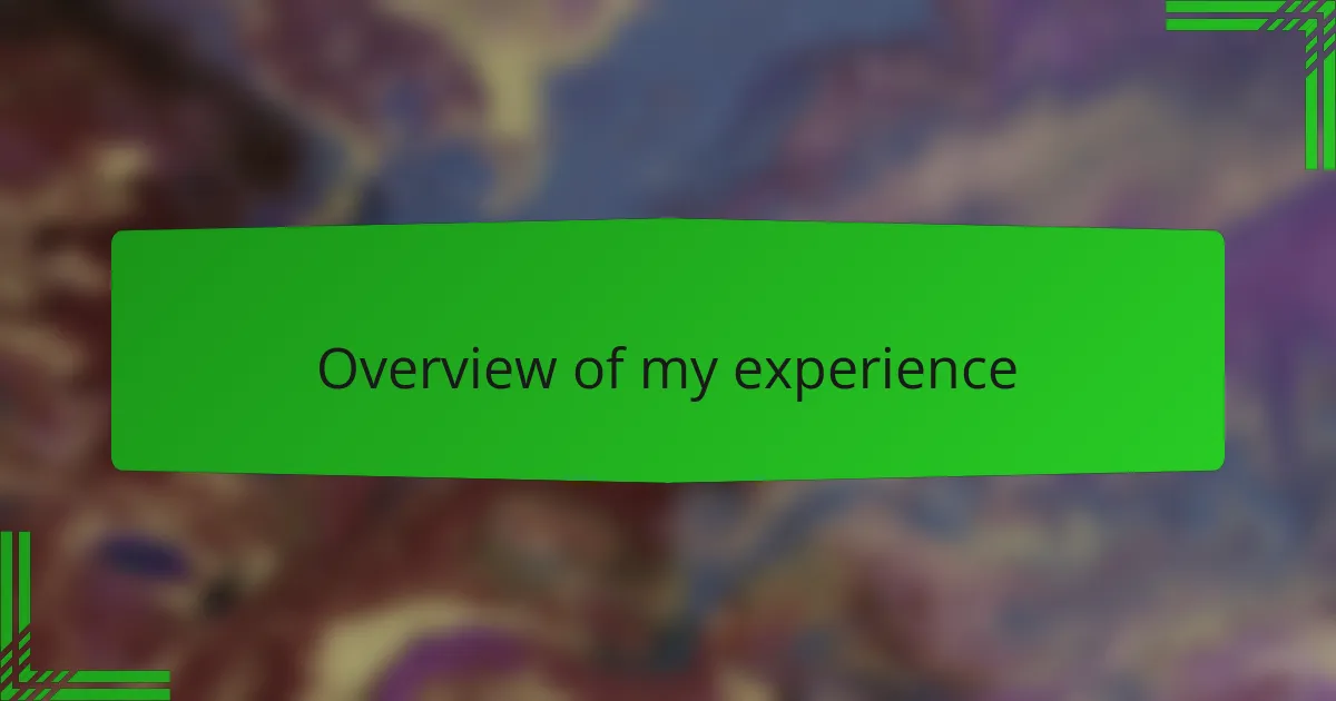 Overview of my experience